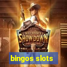 bingos slots