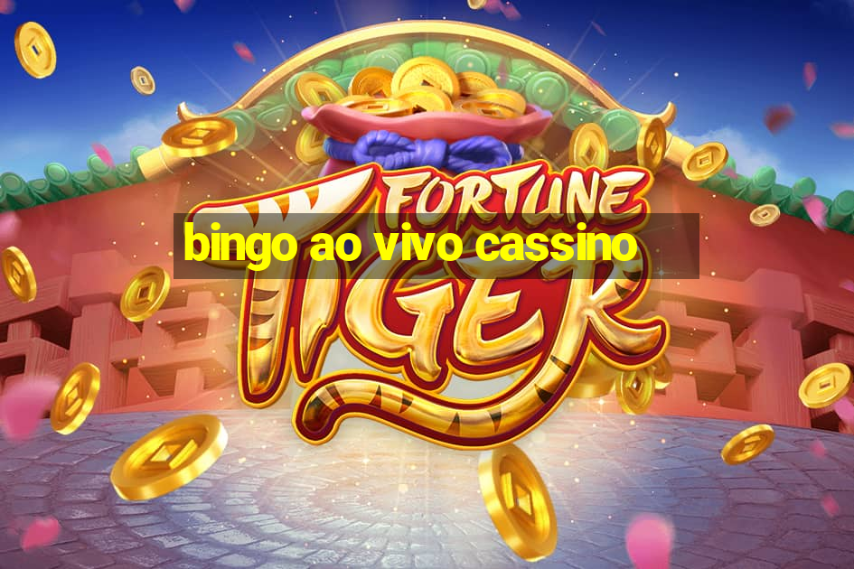 bingo ao vivo cassino