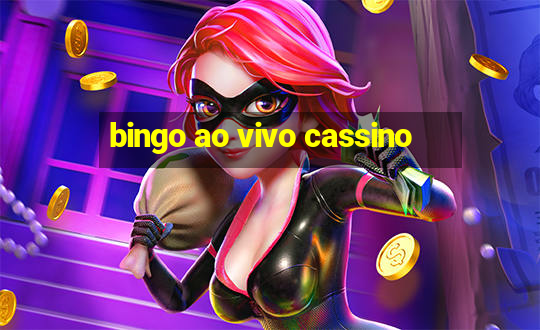 bingo ao vivo cassino