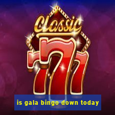 is gala bingo down today