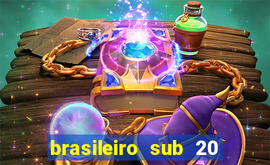 brasileiro sub 20 ao vivo