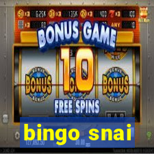 bingo snai