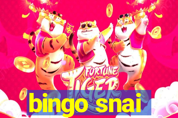 bingo snai