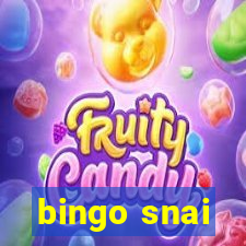 bingo snai