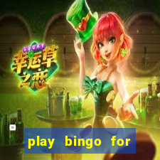 play bingo for free win real money