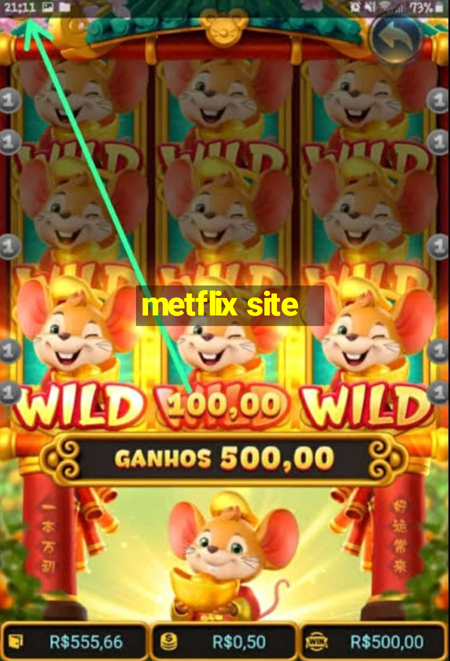 metflix site