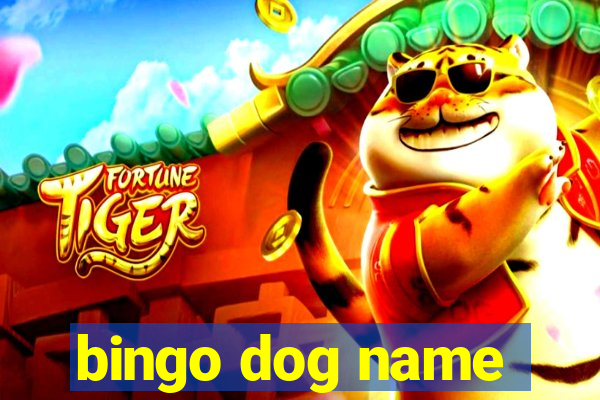 bingo dog name