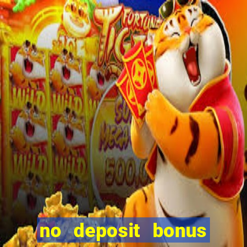 no deposit bonus bingo casino