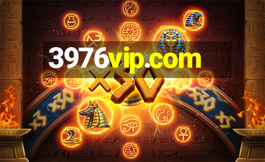 3976vip.com