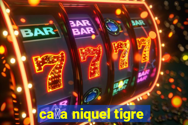 ca莽a niquel tigre