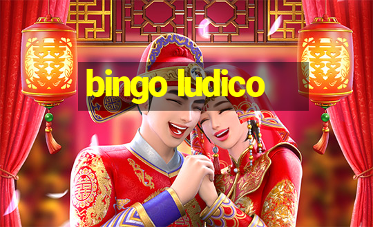 bingo ludico