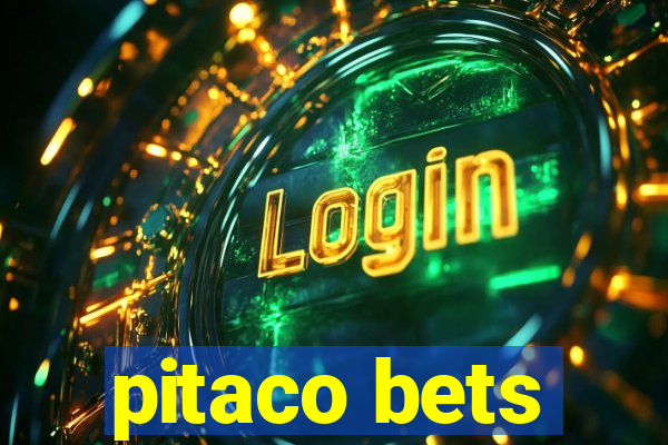 pitaco bets