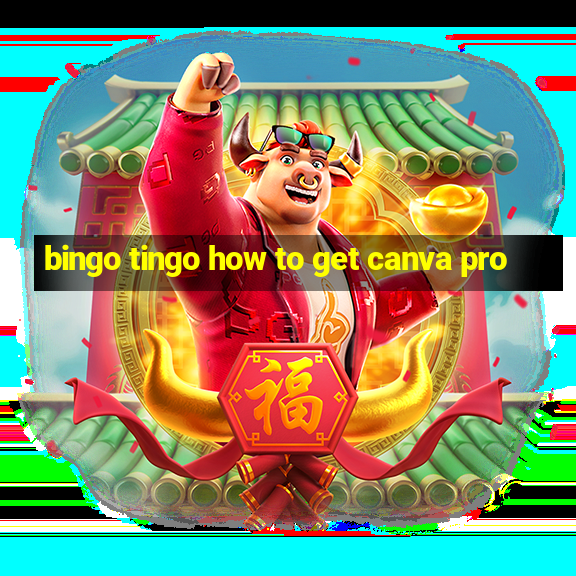 bingo tingo how to get canva pro