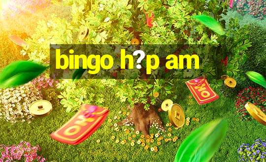 bingo h?p am