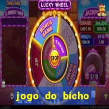 jogo do bicho jogar online