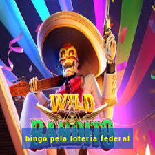 bingo pela loteria federal