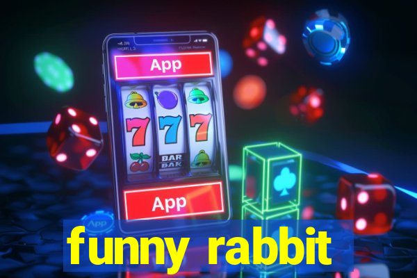 funny rabbit