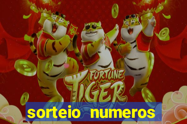 sorteio numeros bingo online