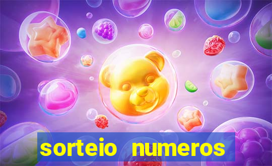 sorteio numeros bingo online