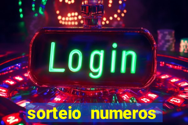 sorteio numeros bingo online