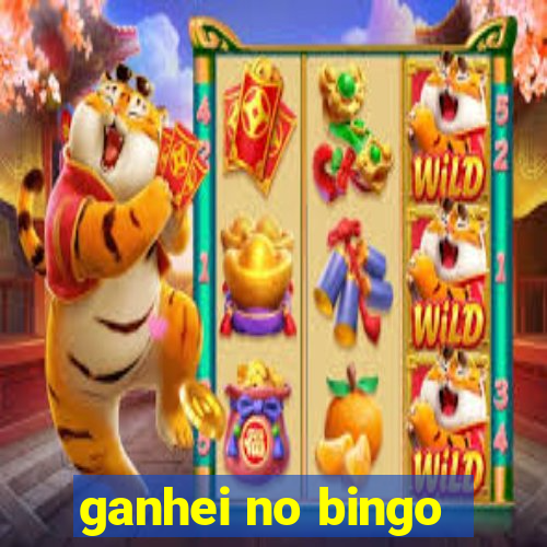 ganhei no bingo