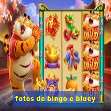 fotos de bingo e bluey