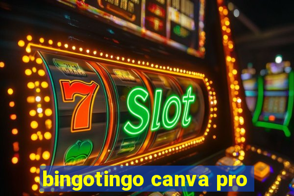 bingotingo canva pro