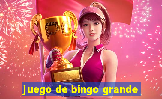 juego de bingo grande