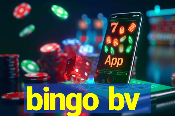 bingo bv