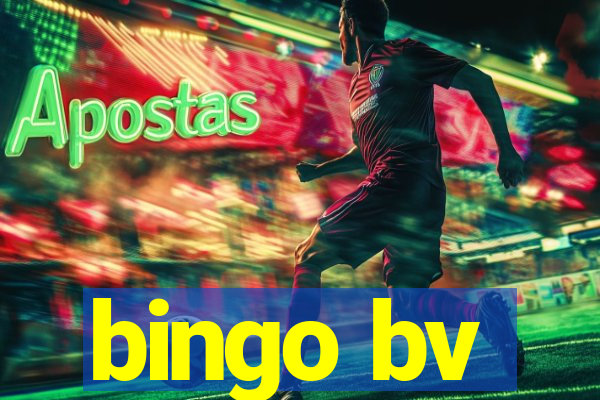 bingo bv