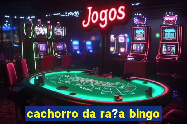 cachorro da ra?a bingo