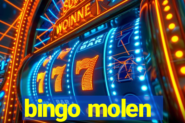 bingo molen