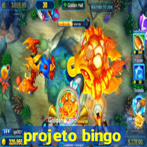 projeto bingo